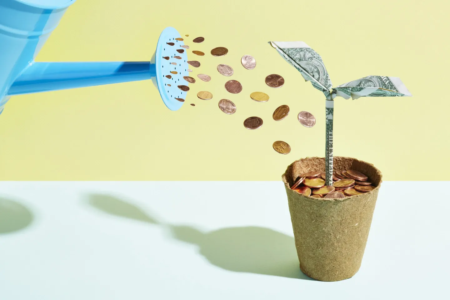 Image of a watering can pouring coins on a potted plant with an origami dollar bill shaped like a seedling.